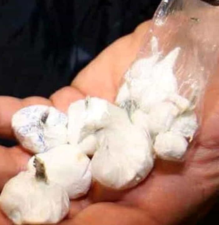 Operazione di controllo del territorio nell’Oltrestazione: sequestrati cocaina e hashish