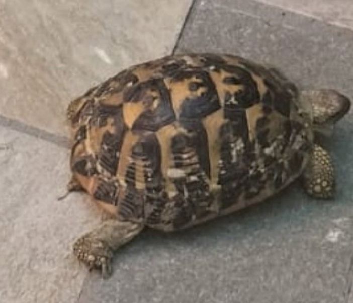 Foto dalla pagina Facebook di Casaringhio