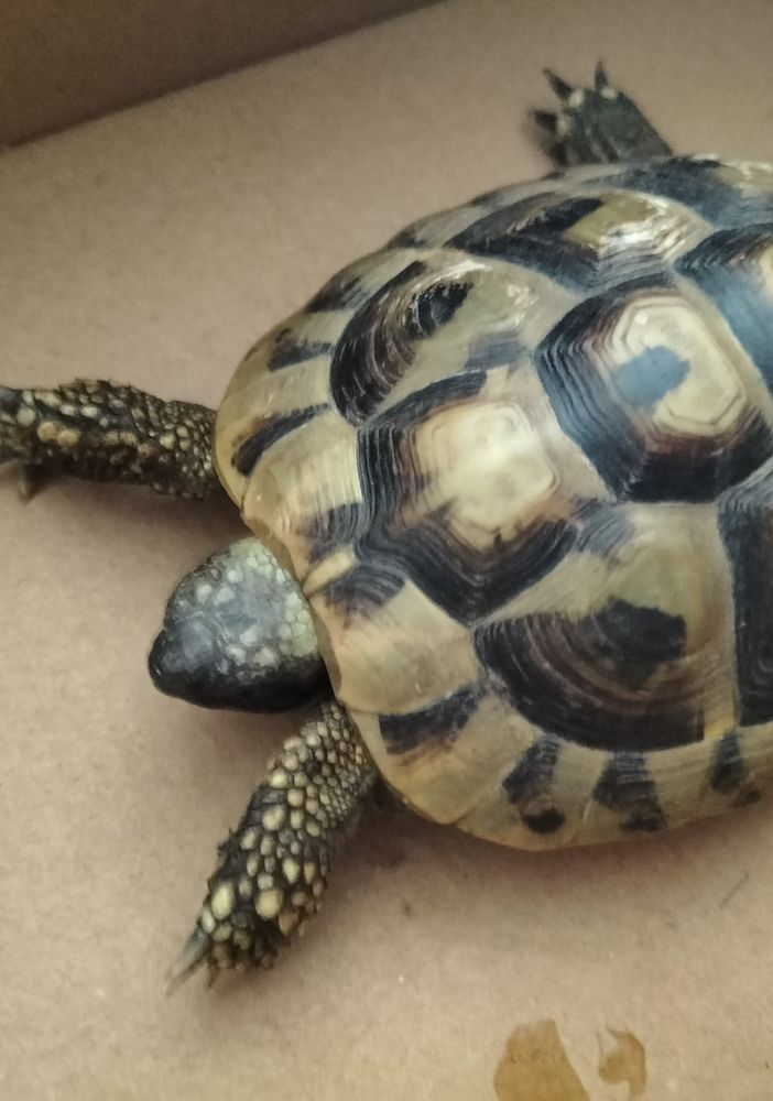 foto dalla pagina di Casaringhio
