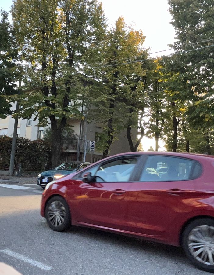 Incroci pericolosi e posteggi da rivedere: «Una petizione in viale Lombardia»