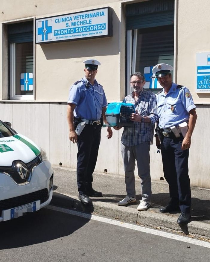 Gatto ferito, la Polizia locale di Busto “scorta” il proprietario fino al veterinario