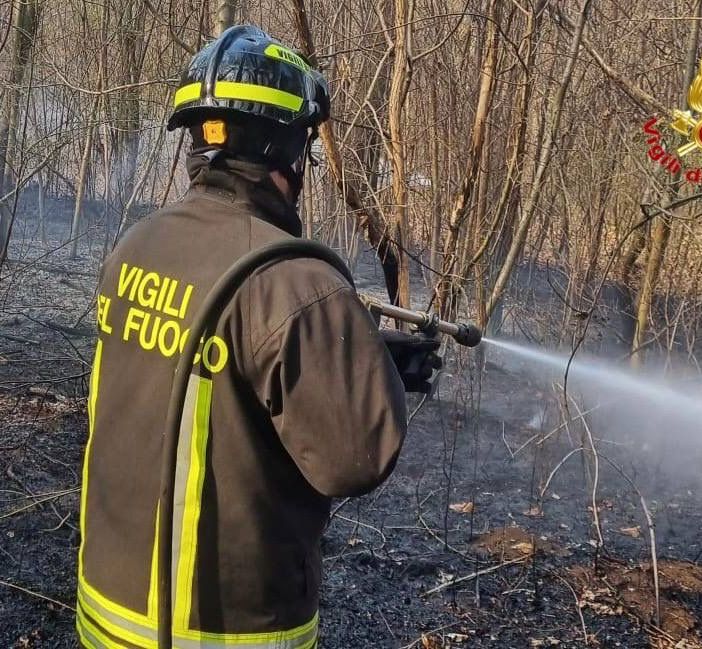 Ancora un incendio nei boschi: vigili del fuoco a Samarate. FOTO