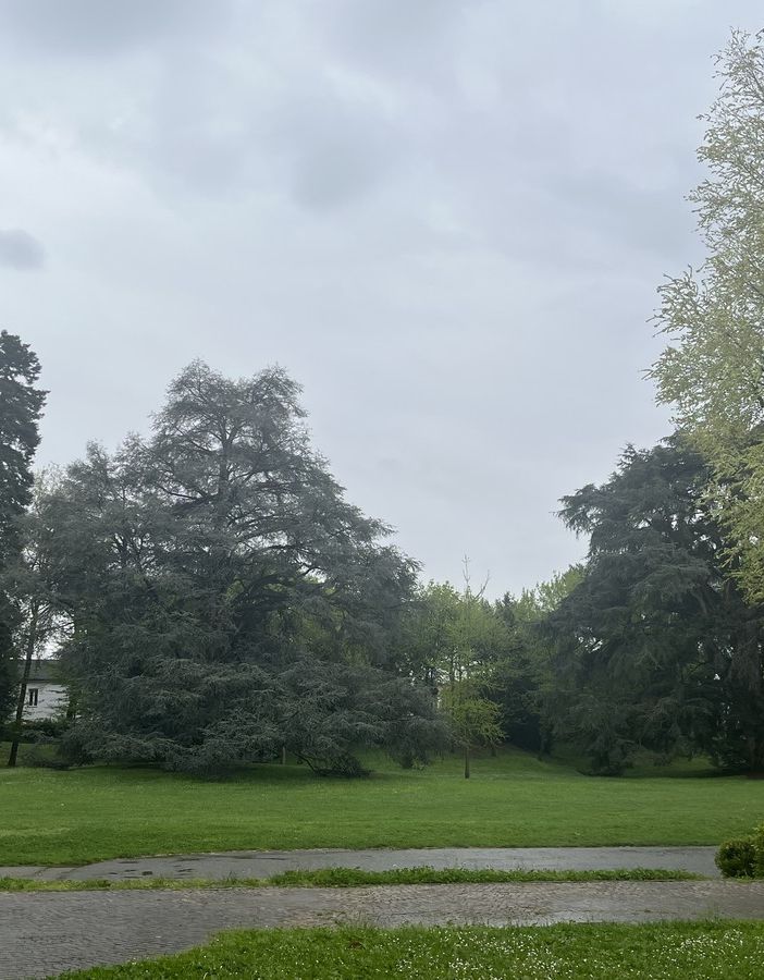 Una vista del parco da Villa Durini a Gorla Minore