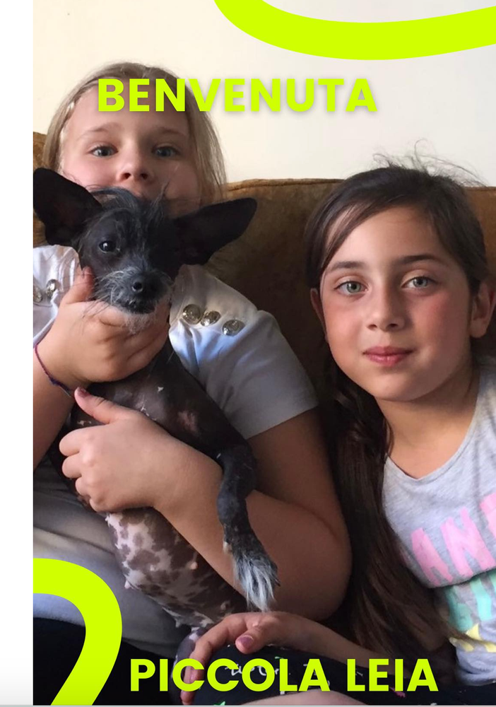 Yeva con la cagnolina Leia e l'amica Chiara, un ritratto di famiglia e felicità - foto per cortesia del sindaco Pignatiello