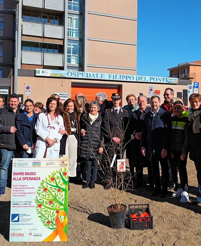 Il melograno simbolo della lotta contro il cancro infantile mette radici all’ospedale Del Ponte