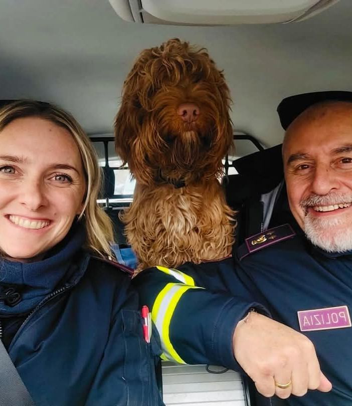L'immagine pubblicata dalla Questura di Varese