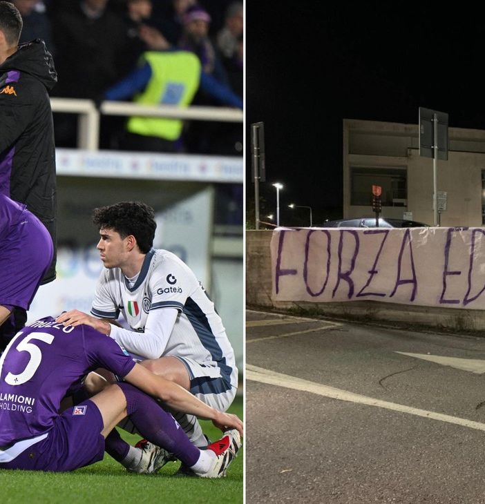 Bove in terapia intensiva dopo malore: &quot;Esclusi danni acuti&quot;