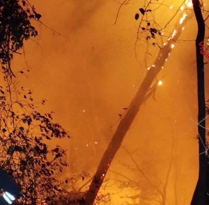 Preoccupazione per i boschi in fiamme, in due settimane 25 incendi in Lombardia