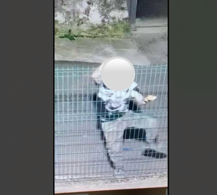 Il responsabile di furti e danneggiamenti immortalato dalla videosorveglianza (immagini diffuse dal Comune di Cavaria) Il responsabile di furti e danneggiamenti immortalato dalla videosorveglianza (immagini diffuse dal Comune di Cavaria)