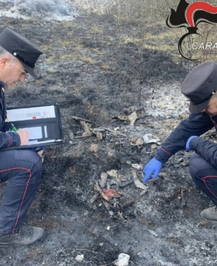 Incendi nei boschi di Ispra e Induno Olona: individuati i presunti responsabili