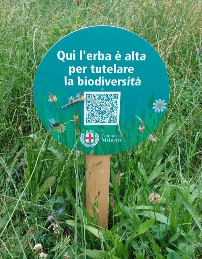 Milano raddoppia le aree a sfalcio ridotto e i prati fioriti