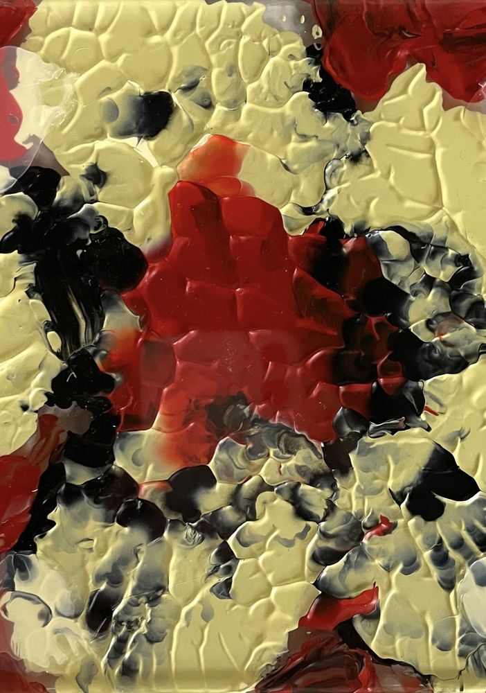 Giorgio Piccaia e Melania Rocca. Sotto: Formella in plexiglass Myosotis