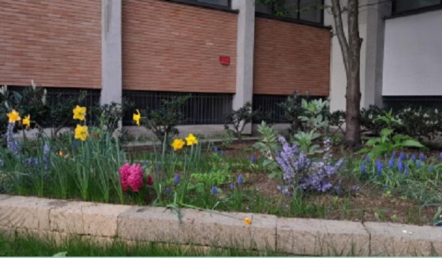 Primaria “Ada Negri”: il rispetto per la natura e l’ambiente si impara da piccoli gesti quotidiani