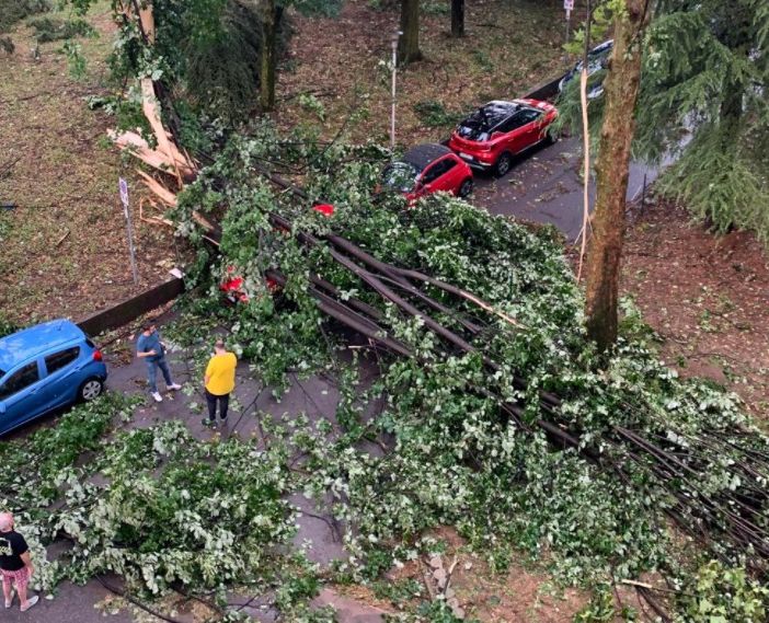 FOTO. Il maltempo colpisce anche l'ospedale di Tradate: allagamenti, alberi caduti e ripercussioni sull'attività sanitaria