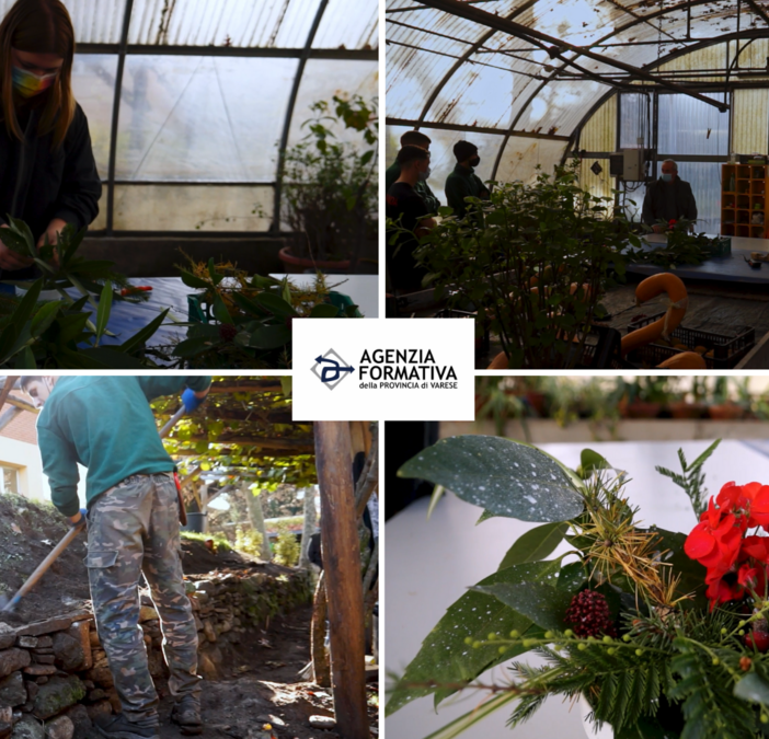 «Un corso pratico, per inserirsi subito nel mondo del lavoro» come Operatore agricolo, coltivazioni arboree, erbacee, ortofloricole