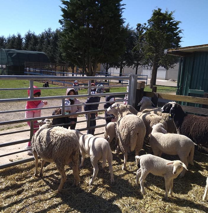 Foto tratta dalla pagina Facebook agriturismo Ai Boschi di Origgio