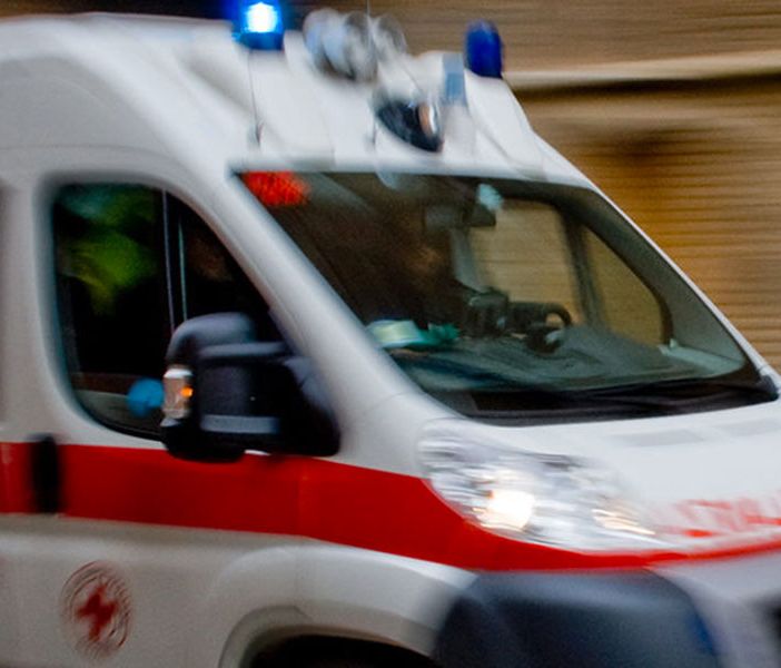 Anziano aggredito da tre cani nei boschi di Vizzola Ticino: trasportato al pronto soccorso con una ferita al polpaccio