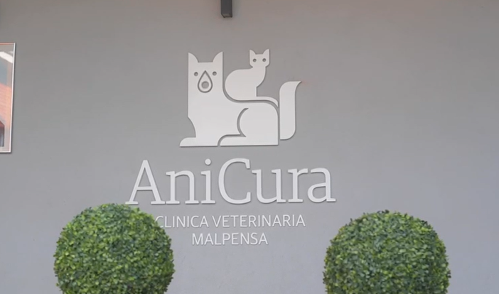 Target. Nella seconda puntata spazio alla clinica veterinaria AniCura di Malpensa