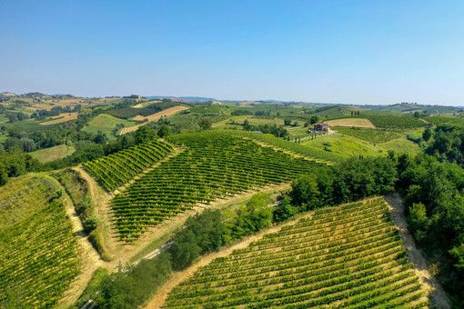 L'azienda astigiana Ferraris Agricola presenta Opera Prima Riserva 2017
