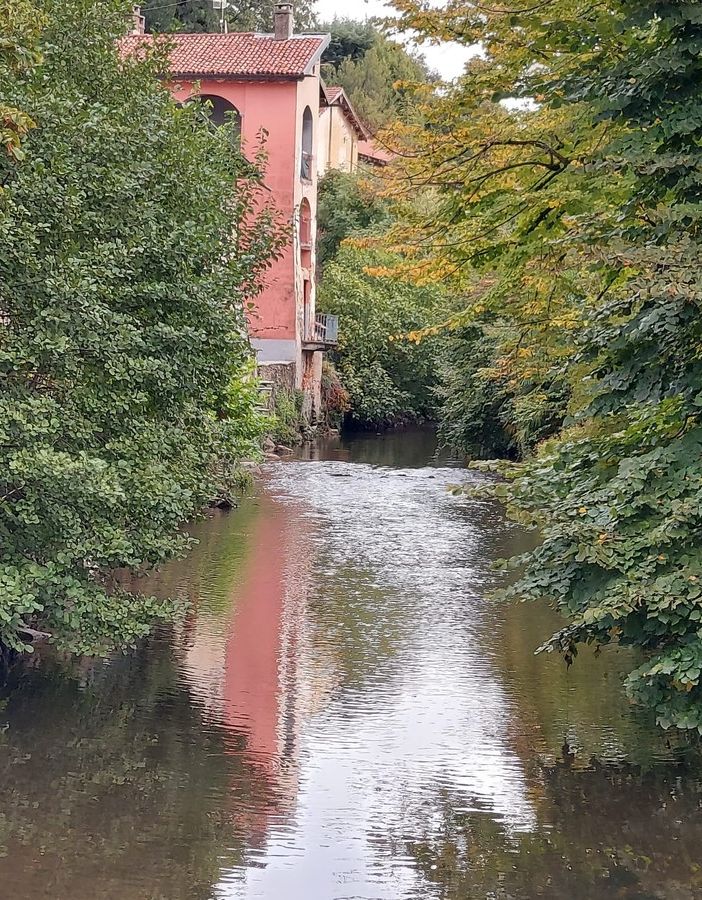 FOTO. Resta stabile la qualità delle acque del fiume Bardello ma spopolano le piante esotiche invasive