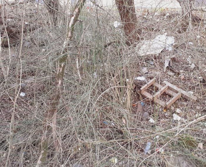 FOTO. Rifiuti abbandonati nell'area boschiva della zona industriale di Brunello