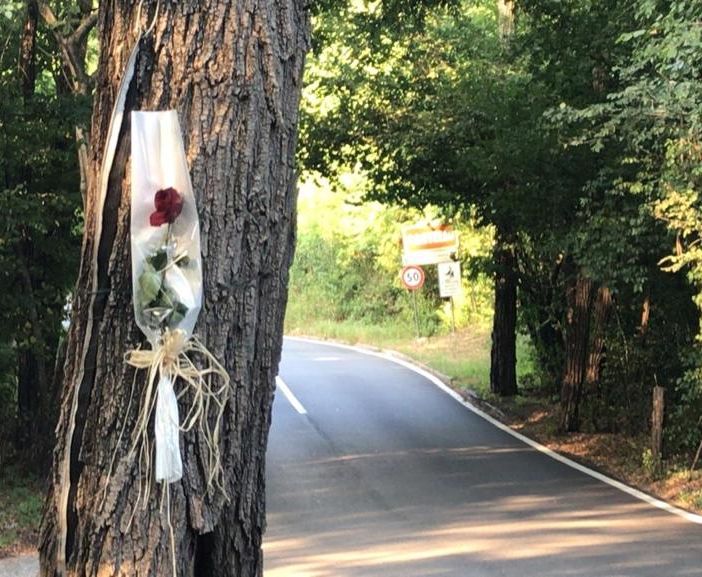 La rosa posata su un albero lungo via Varese nel punto in cui Daniele Morello è stato ucciso