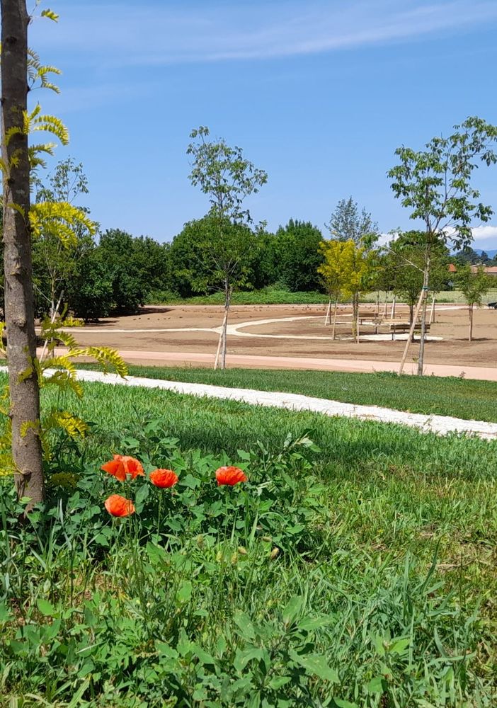 Uno scorcio dell'enorme parco di città
