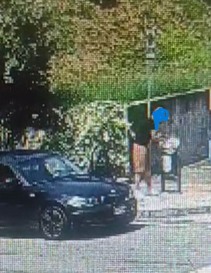 Cavaria con Premezzo, &quot;pizzicati&quot; dalle telecamere ad abbandonare rifiuti nei cestini: 500 euro di multa