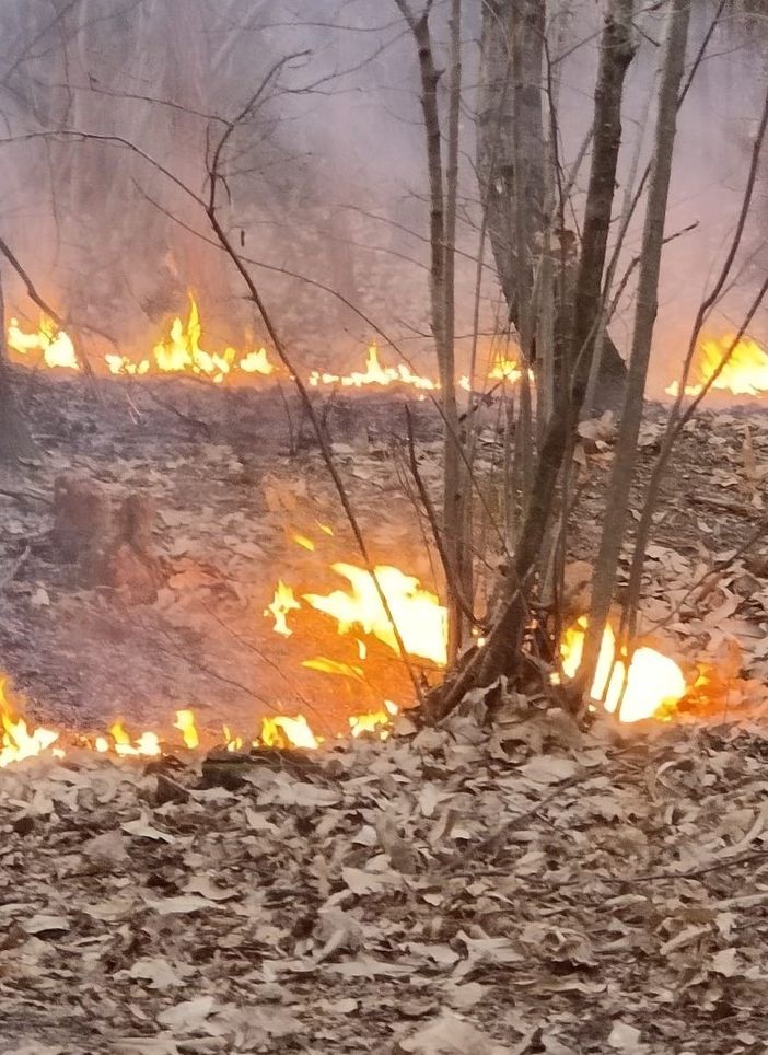 L'incendio nella Valle del Boia a Cavaria con Premezzo