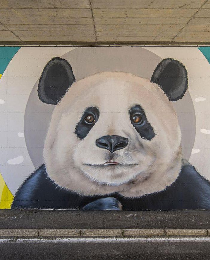 Il murales preso di mira dai vandali con un lancio di uova a Cavaria con Premezzo (foto dal Comune)
