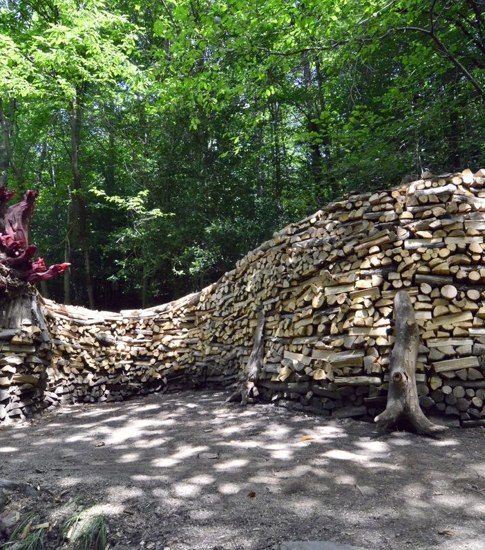 C'è un drago di 15 metri nei boschi di Boarezzo. L'ultima folle impresa dei &quot;maghi del legno&quot; della Valganna