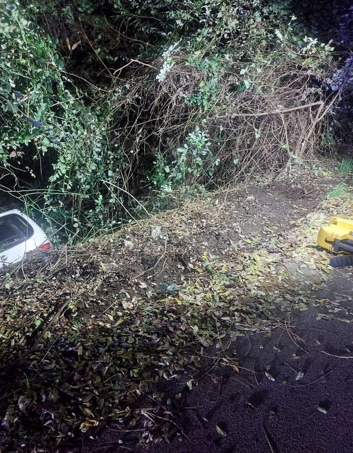 FOTO. Auto esce di strada e finisce nella boscaglia: un ferito a Luino
