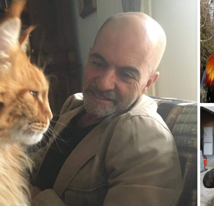 Alcuni scatti di Gianluca Baldon in compagnia di... amici a quattro zampe