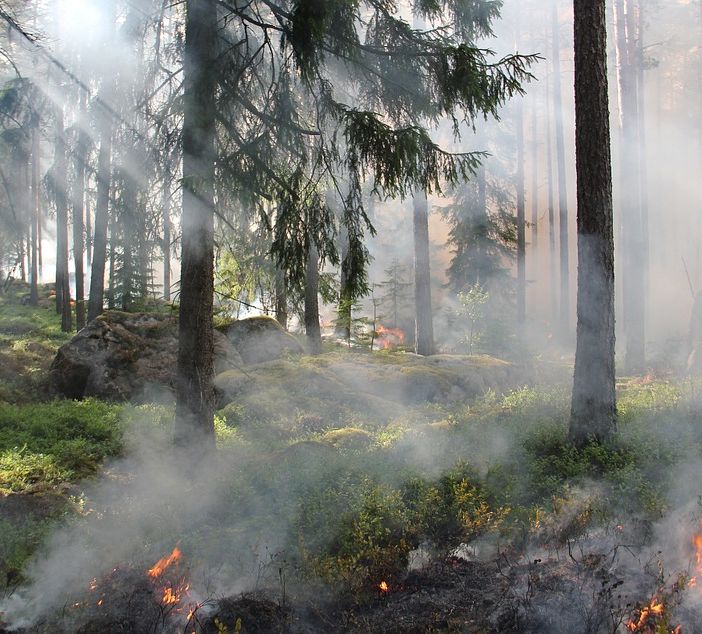Maltempo, sos vento forte per danni e incendi: bufere da inizio anno, metà in Lombardia