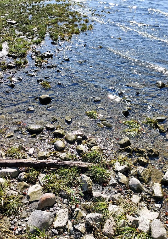 L'allarme di Coldiretti sulla siccità: «Lombardia a secco, mancano 2 miliardi di metri cubi d'acqua»
