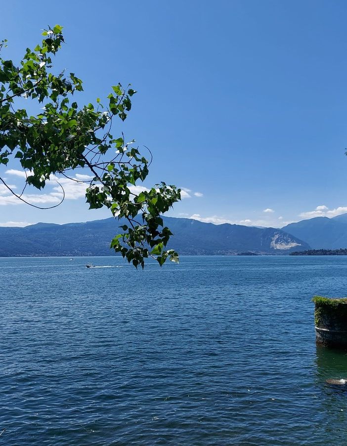 Un bellissimo scorcio del lago Maggiore dal Parco delle Torrazze a Laveno