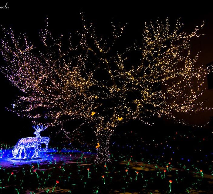 Pronte ad accendersi le Lucine di Natale a Laveno Mombello: sul lago Maggiore oltre 500 mila led