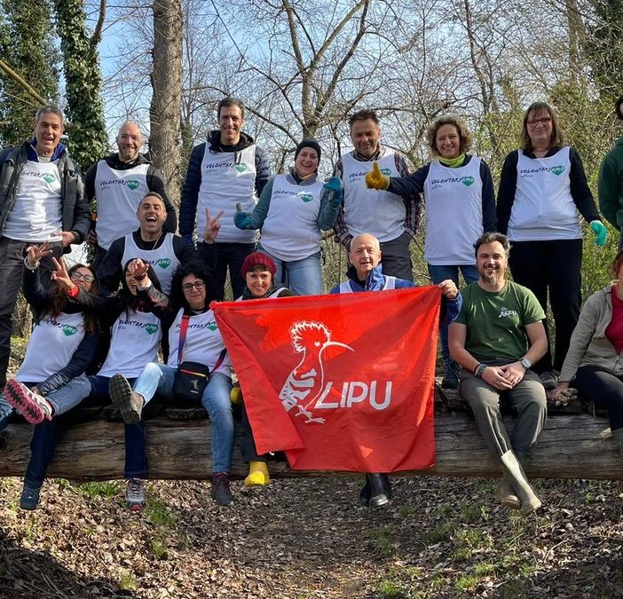 Alla Palude Brabbia i dipendenti del Banco Bpm si prendono cura dell'oasi naturalistica