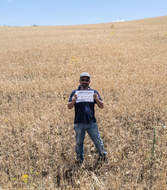 Fabio Longhin nel suo ettaro adottato a Raddusa, in Provincia di Catania