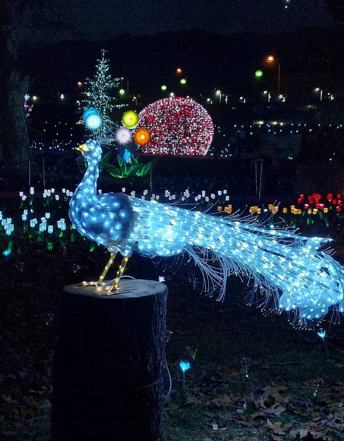 Le lucine di Laveno &quot;illuminano&quot; tutta la città e fanno sognare gli innamorati
