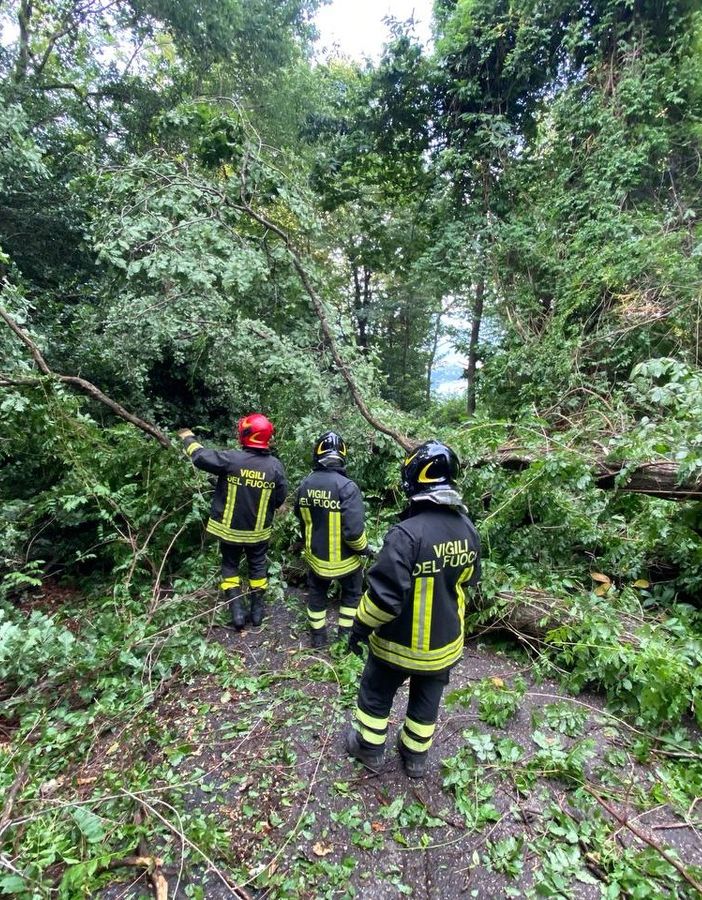 FOTO. Nottata di maltempo e danni nell'Alto Varesotto. Disagi sulla 394, alberi caduti a Luino: interrotta la strada per Agra