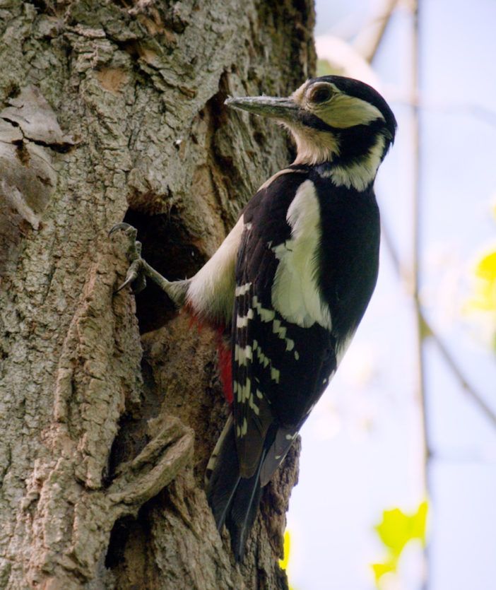 “Il valore della natura”: scienza, politica e società civile a confronto