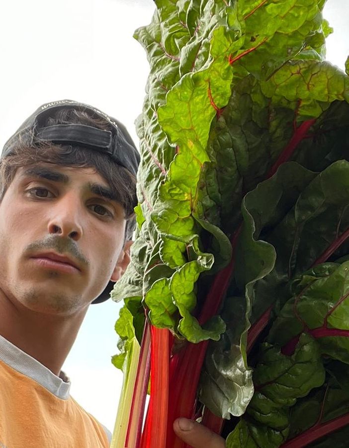 Lorenzo Zanardini fondatore e titolare dell'azienda agricolo Lo Stelo di Monvalle