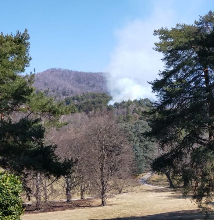 Incendio nel parco del Campo dei Fiori, in azione i soccorsi