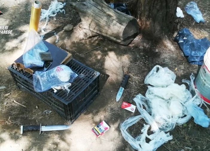 Trentamila euro per la sicurezza del Parco Pineta