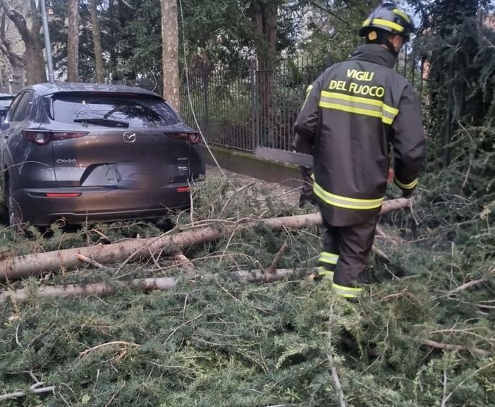 Vento forte e rischio idrogeologico: sul Varesotto resta l'allerta gialla fino a mezzanotte