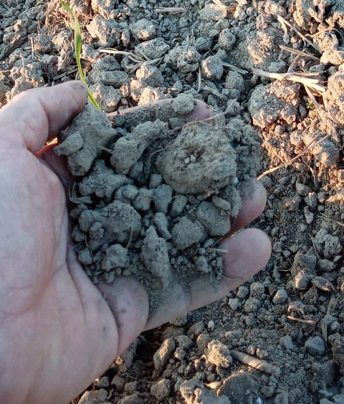I danni della siccità in provincia di Varese: 8 milioni e 200mila euro le perdite registrate da 485 aziende agricole