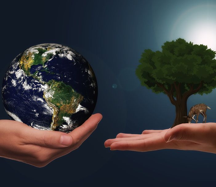 Dalla sostenibilità ambientale allo sviluppo digitale: le opportunità per le imprese