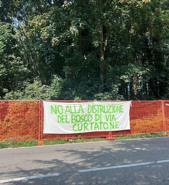 Ambiente, Sironi (M5S): «A Gallarate un assalto al polmone verde di via Curtatone, danni irreparabili»