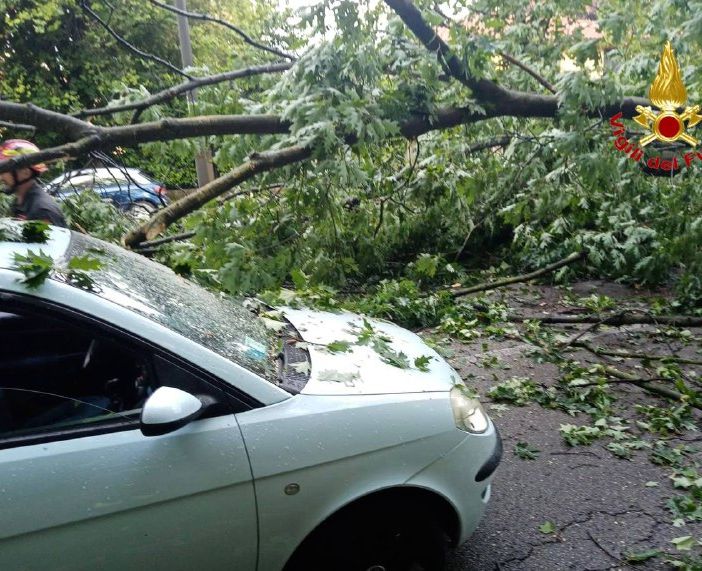 FOTO. Grosso albero cade in viale Europa colpendo un veicolo di passaggio: paura stamattina a Varese e traffico in tilt